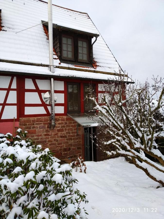Ferienhaus Marre - Mit Grill, Feuerstelle Und Gartensauna 왈드브룬 외부 사진